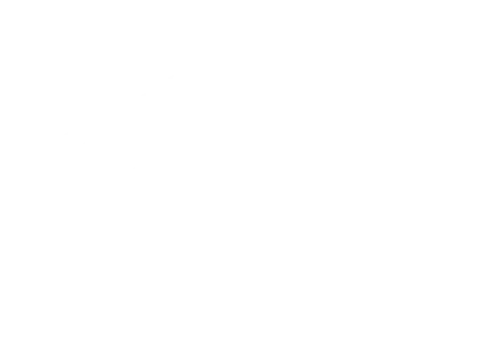 wt_logo_transparent-since2011-white-01